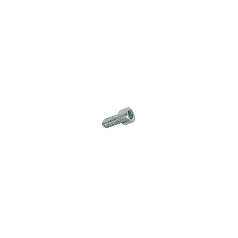 Hexagon screw M5 × 12 mm