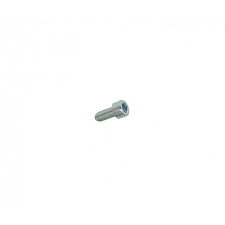 Hexagon screw M5 × 12 mm