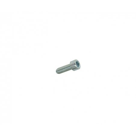 Hexagon screw M5 × 16 mm