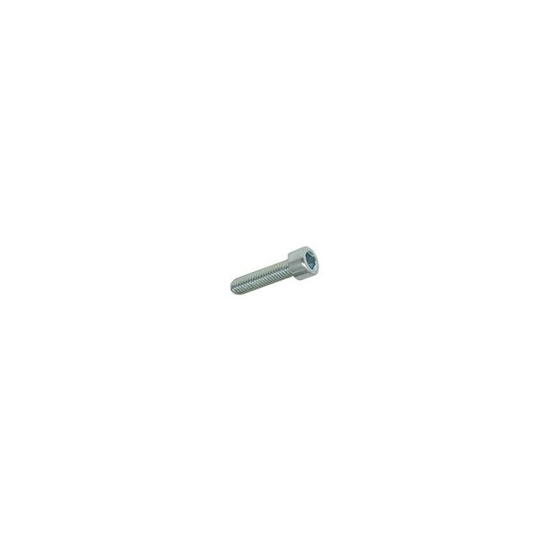 Hexagon screw M5 × 20 mm