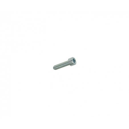 Hexagon screw M5 × 20 mm