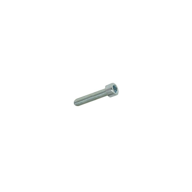 Hexagon screw M5 × 25 mm