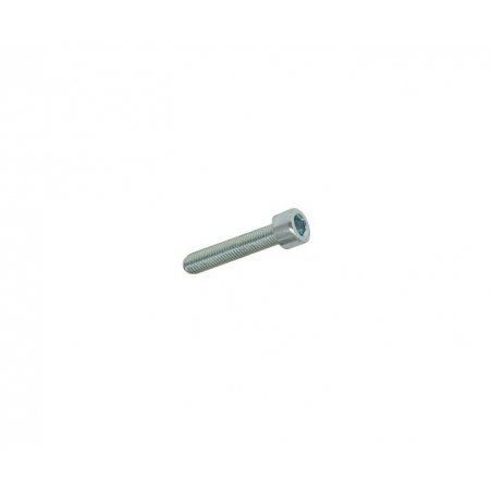 Hexagon screw M5 × 25 mm