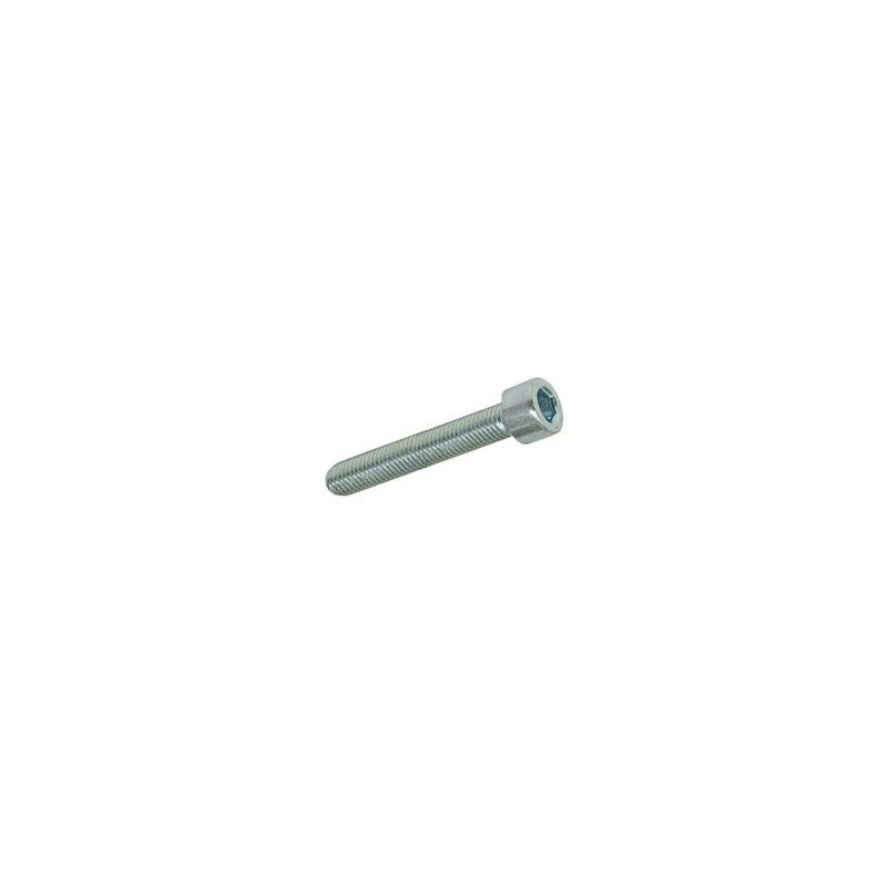 Hexagon screw M5 × 30 mm