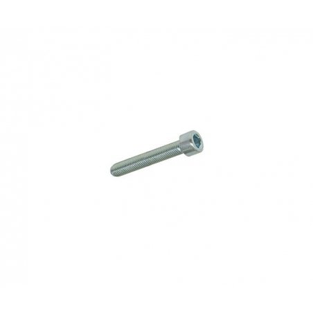 Hexagon screw M5 × 30 mm