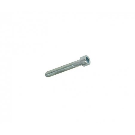 Hexagon screw M5 × 35 mm