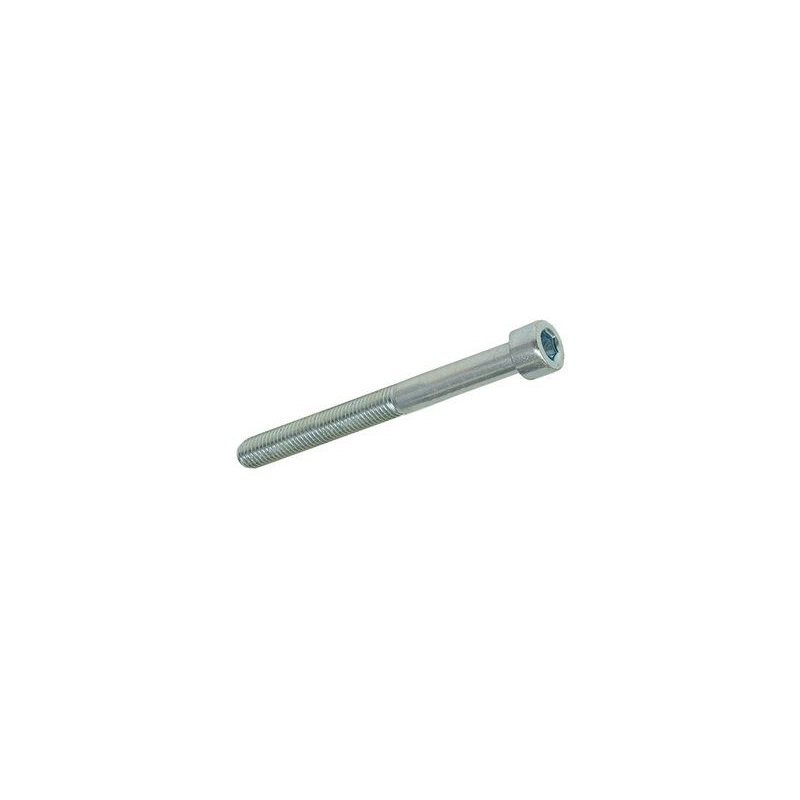 Hexagon screw M5 × 50 mm