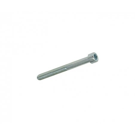Hexagon screw M5 × 50 mm