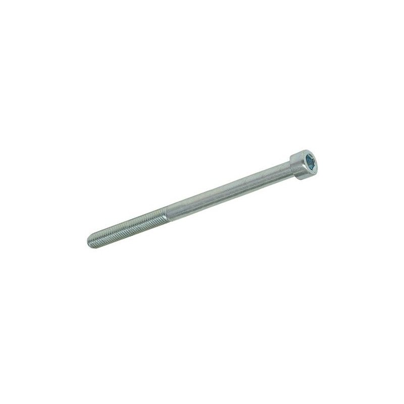 Hexagon screw M5 × 70 mm
