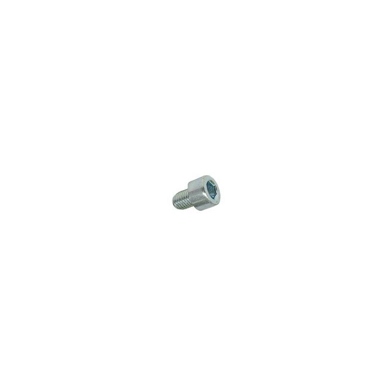 Hexagon socket screw M6 × 10 mm