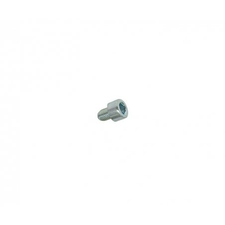 Hexagon socket skruv M6 × 10 mm