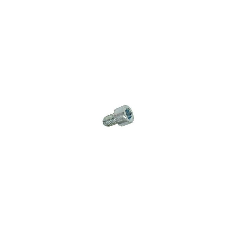 Hexagon socket skruv M6 × 12 mm
