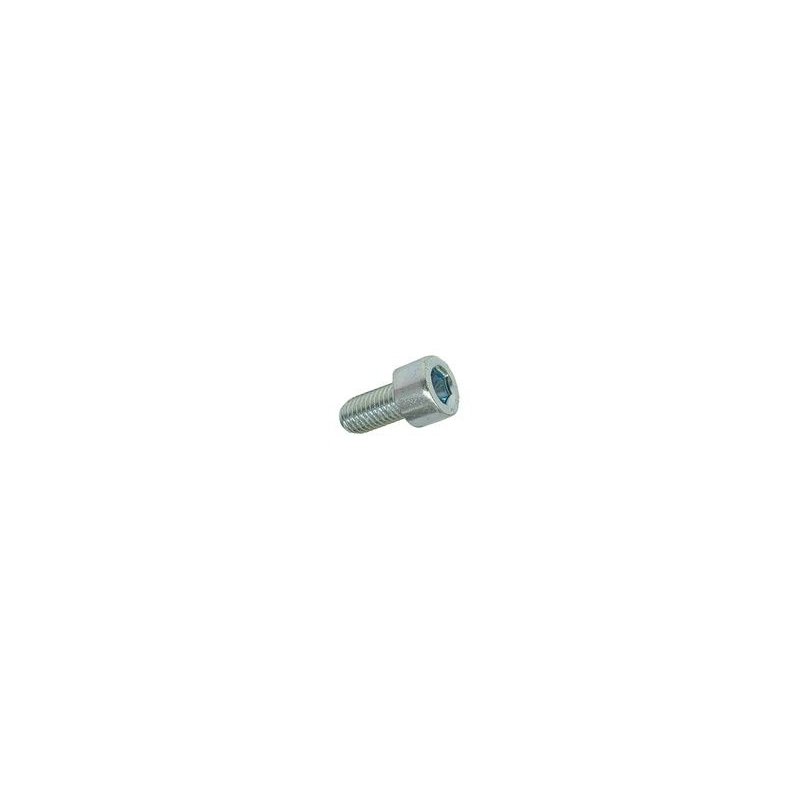 Hexagon socket screw M6 × 16 mm
