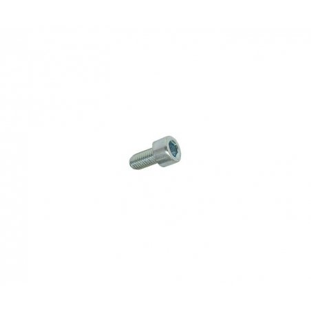 Hexagon socket screw M6 × 16 mm