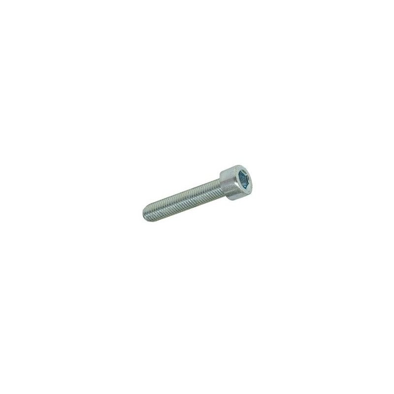 Hexagon socket screw M6 × 30 mm