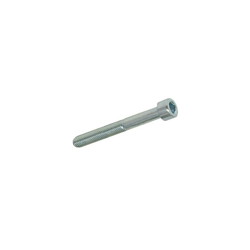 Hexagon socket skruv M6 × 50 mm