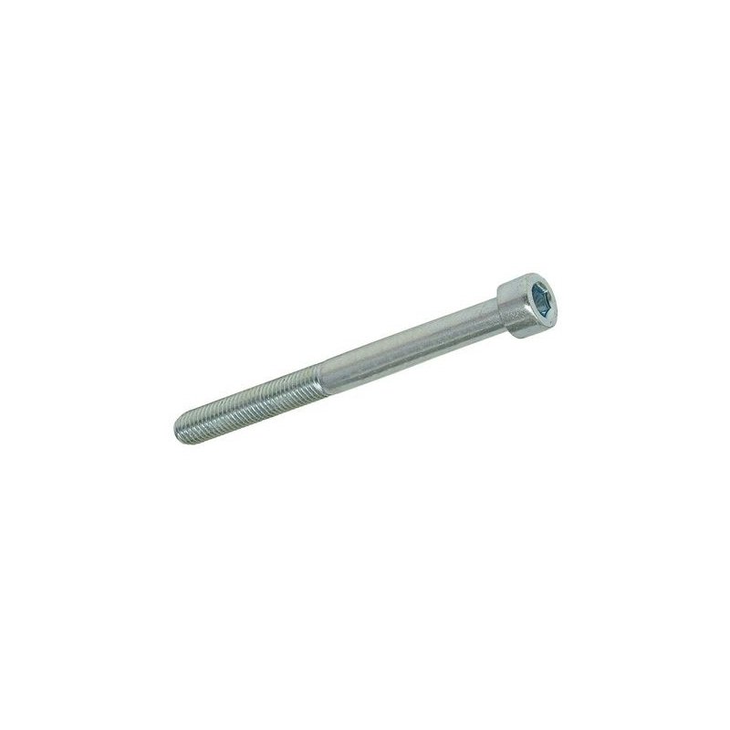 Hexagon socket screw M6 × 65 mm