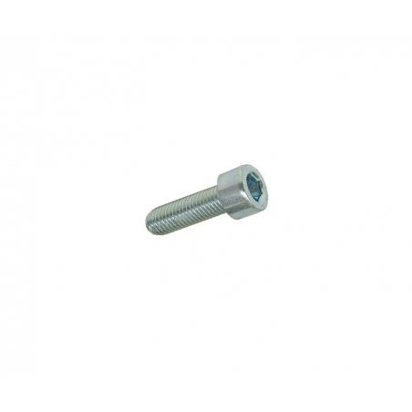Hexagon socket skruv M8 × 25 mm