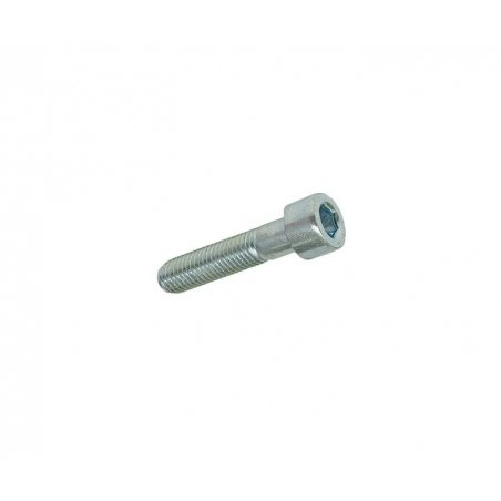 Sekskant socket skruen M8 × 35 mm