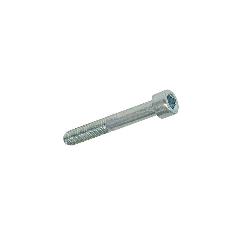 Hexagon socket screw M8 × 55 mm