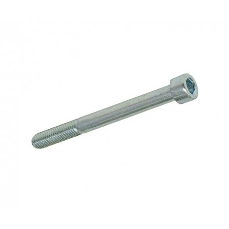 Hexagon socket screw M8 × 80 mm