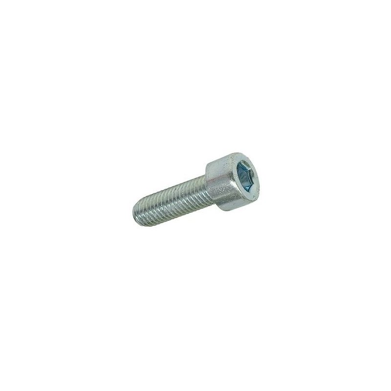 Hexagon screw M10 × 30 mm