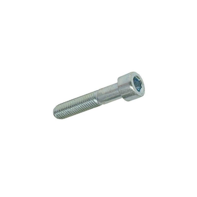 Hexagon screw M10 × 50 mm