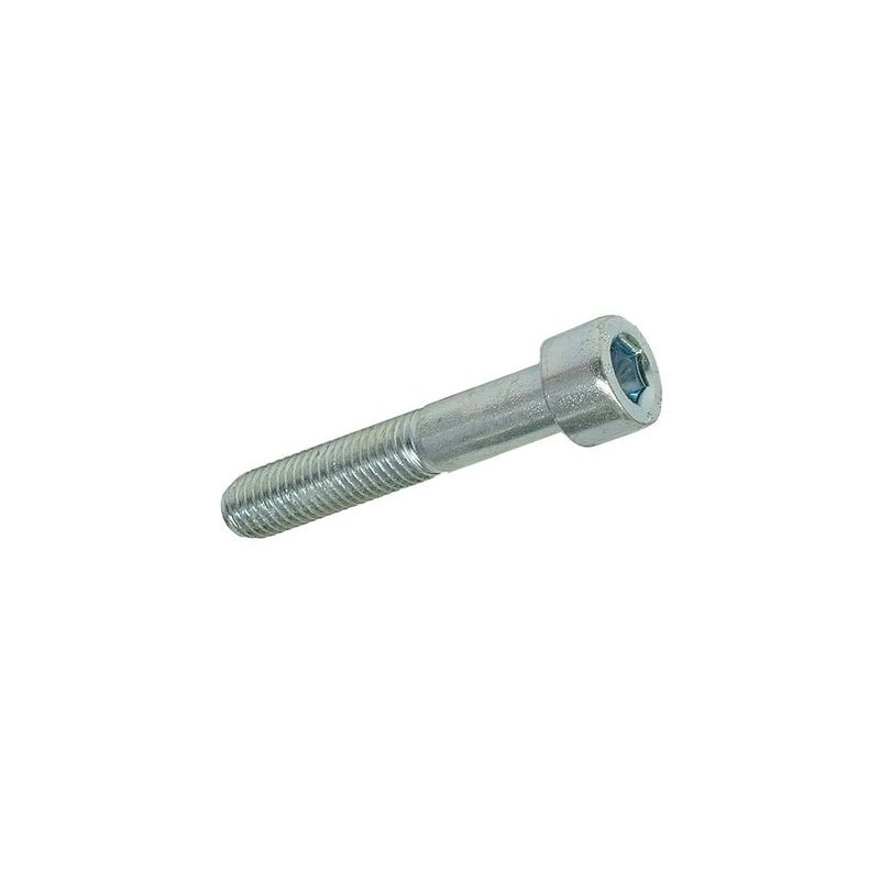 Hexagon screw M10 × 55 mm