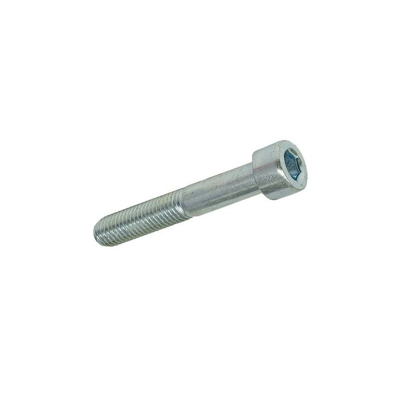 Hexagon screw M10 × 60 mm