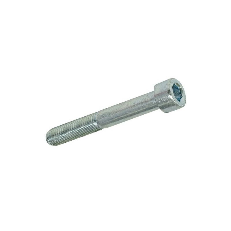 Hexagon screw M10 × 70 mm