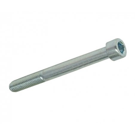 Hexagon screw M10 × 95 mm