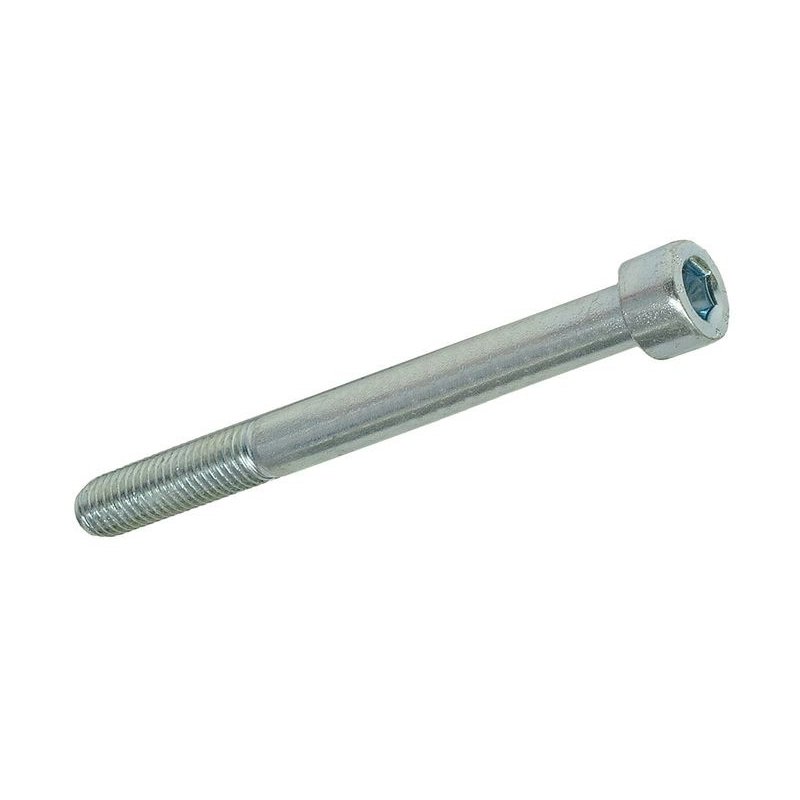 Hexagon screw M10 × 100 mm
