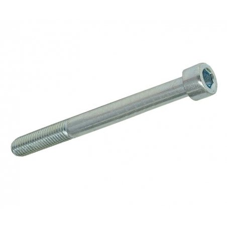 Hexagon screw M10 × 100 mm