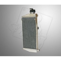Radiator typ FR125 ROTAX MAX