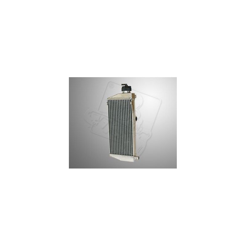 Radiator Type FR125 ROTAX MAX – Kart Cooling Part