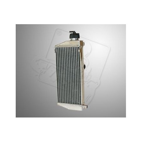 Radiator typ FR125 ROTAX MAX