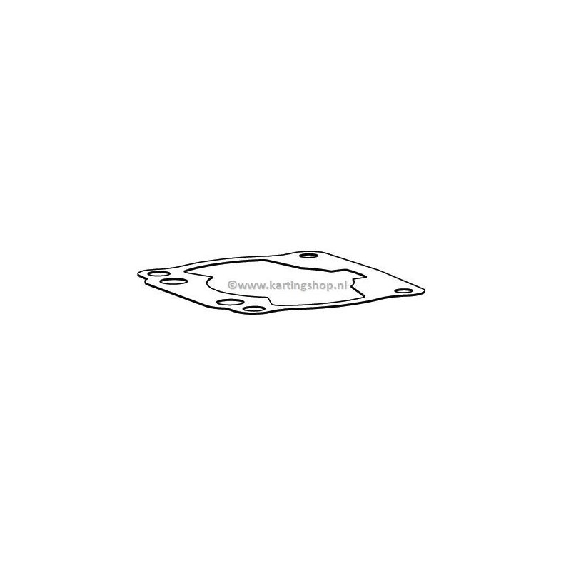 Maxter Cylinder gasket 0.20