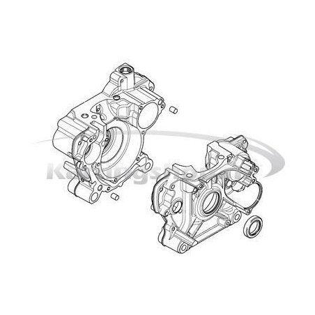Carter House completa Rotax Max