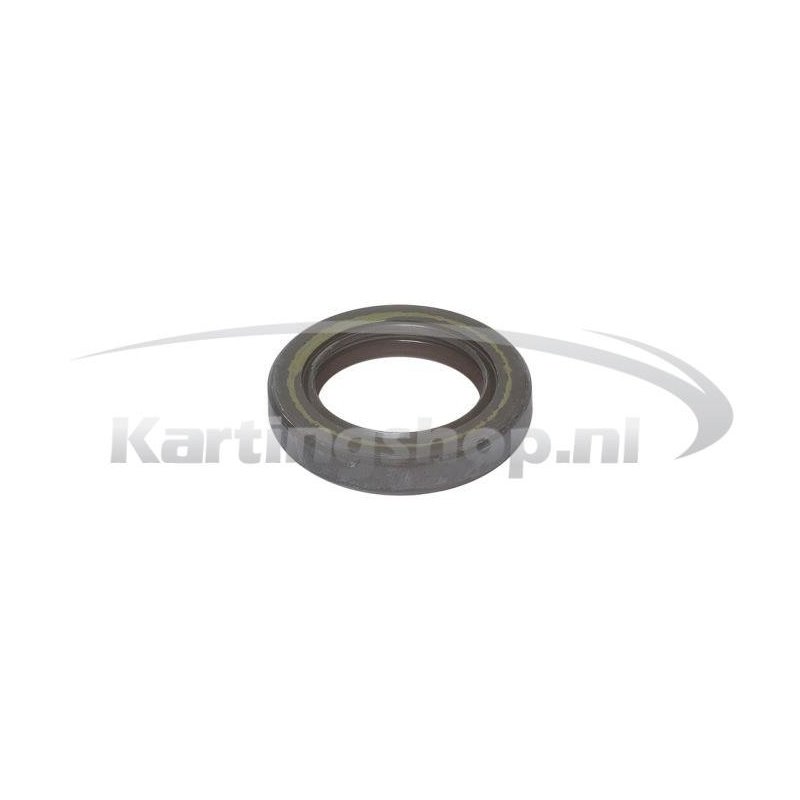 Paraolio albero 25 x 38 x 7 NBR Rotax Max