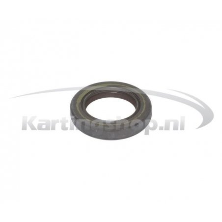 Paraolio albero 25 x 38 x 7 NBR Rotax Max
