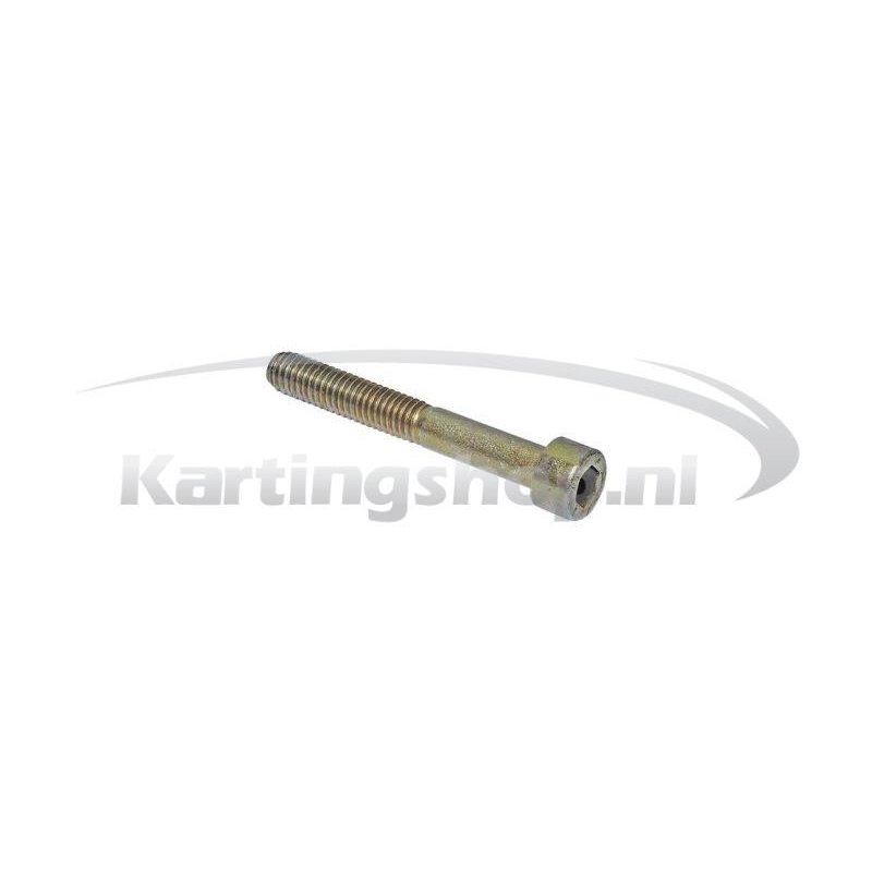 Carter Bolt M6x45 Rotax Max