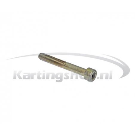 Carter Bolt M6x45 Rotax Max