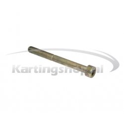 Carter bout M6x60 Rotax Max