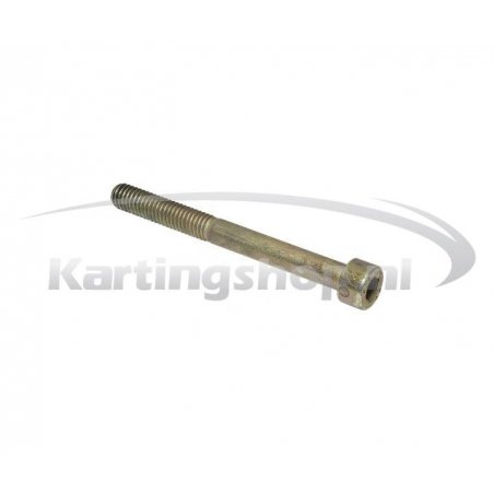 Tornillo M6x60 de cárter del motor Rotax Max