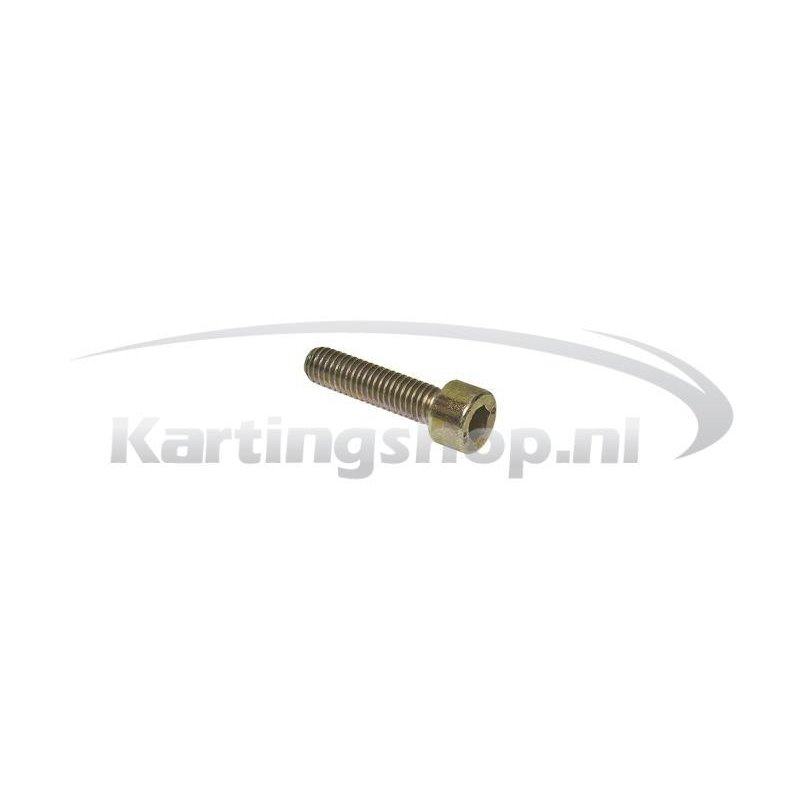 Bolt M6x25 Rotax Max