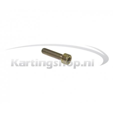Bolt M6x25 Rotax Max