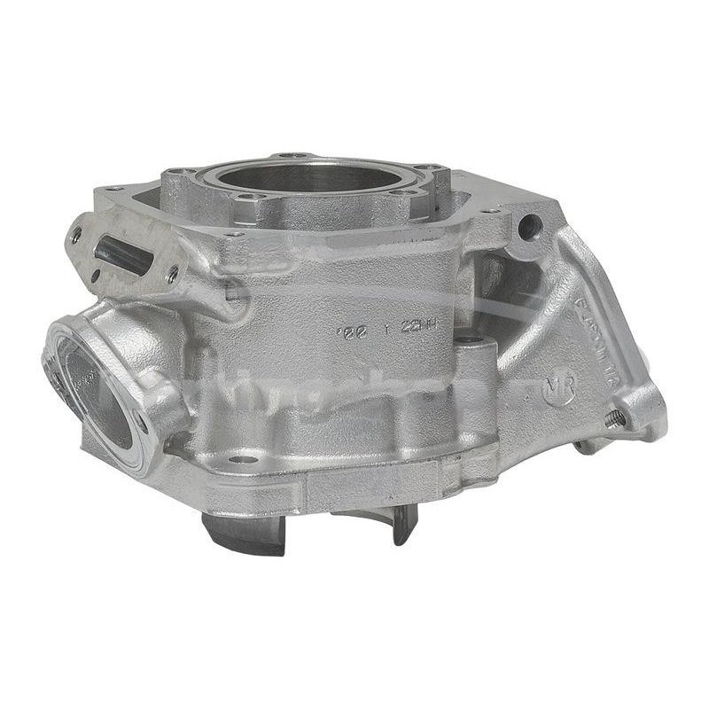 Cylinder Rotax Max Senior EN