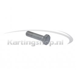 Cylinder Head Bolt M8x30 mm