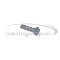 Cylinder head bolt M8 × 30 mm