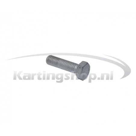 Cylinder head bolt M8 × 30 mm